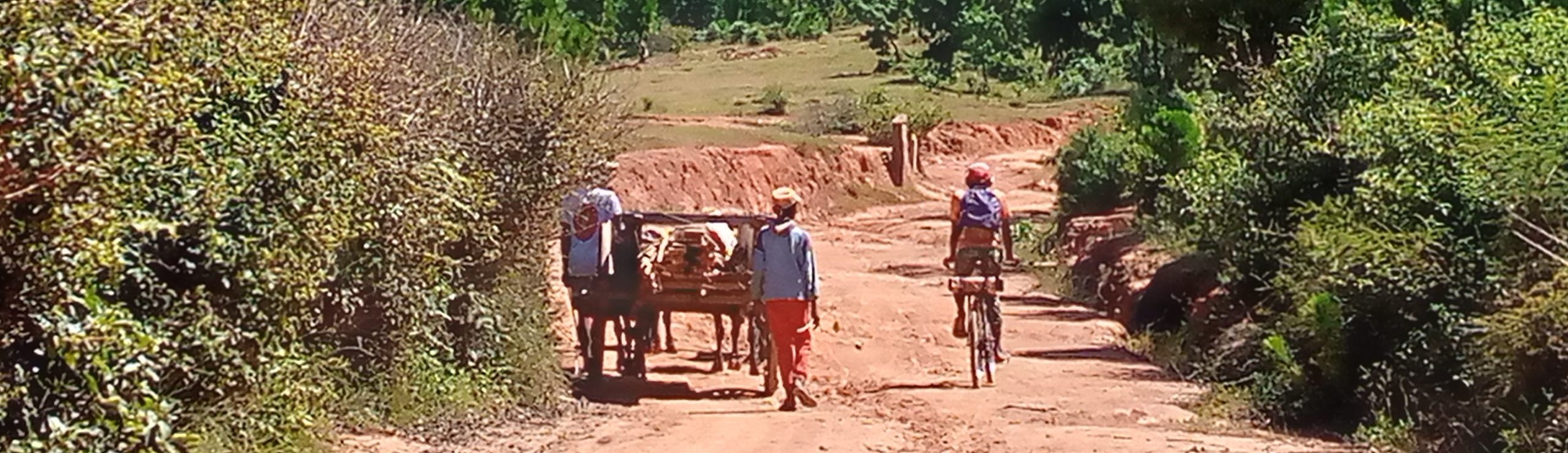 Une journée de randonnée en VTT à travers la campagne Merina